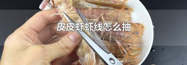 皮皮虾虾线怎么抽