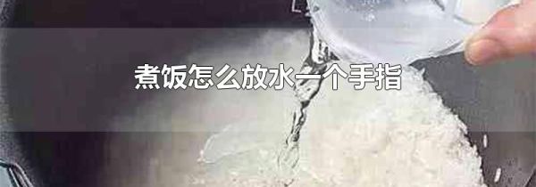 煮饭怎么放水一个手指