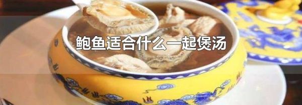 鲍鱼适合什么一起煲汤