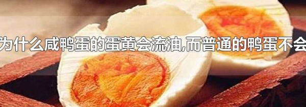 为什么咸鸭蛋的蛋黄会流油,而普通的鸭蛋不会