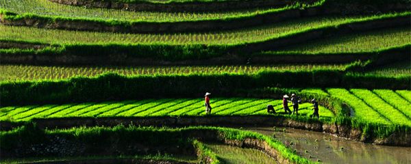 二十四节气的文化内涵 二十四节气的文化内涵及传承价值