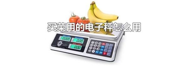 买菜用的电子秤怎么用