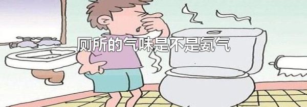 厕所的气味是不是氨气