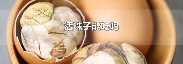 活珠子能吃吗