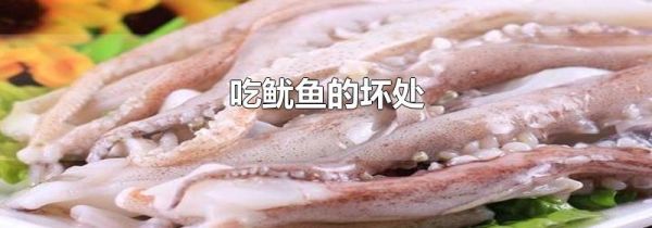 吃鱿鱼的坏处