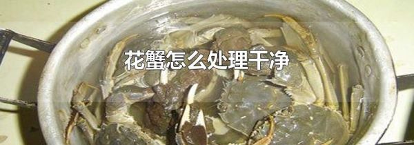 花蟹怎么处理干净
