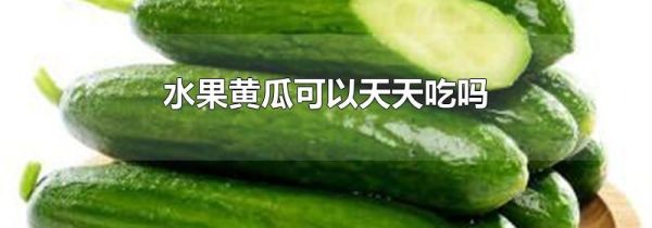 水果黄瓜可以天天吃吗