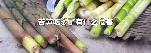 苦笋吃多了有什么危害