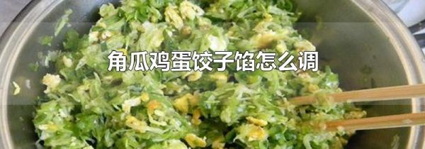 角瓜鸡蛋饺子馅怎么调