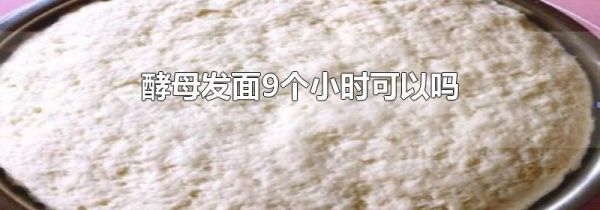 酵母发面9个小时可以吗