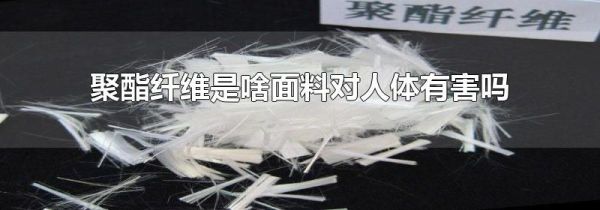 聚酯纤维是啥面料对人体有害吗