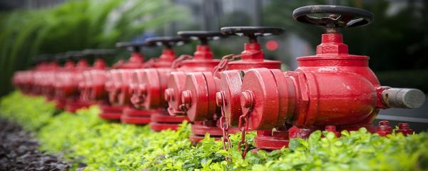 消防安全四个能力 消防安全四个能力是指哪四个能力