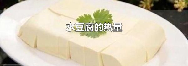 水豆腐的热量