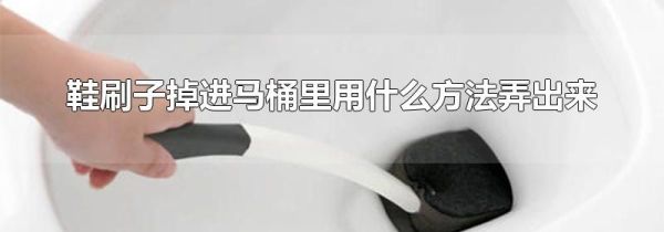 鞋刷子掉进马桶里用什么方法弄出来