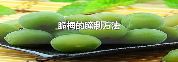 脆梅的腌制方法