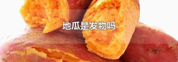 地瓜是发物吗