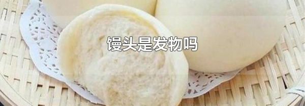 馒头是发物吗