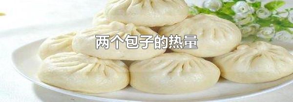 两个包子的热量