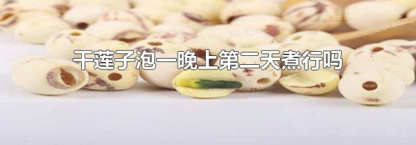 干莲子泡一晚上第二天煮行吗
