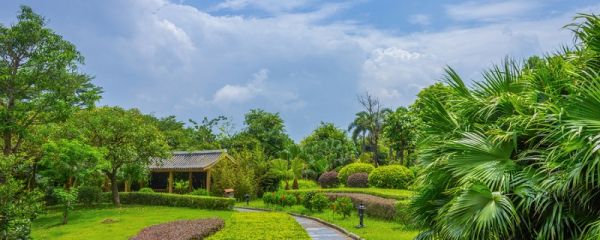 苏州园林的说明顺序 苏州园林的说明顺序是