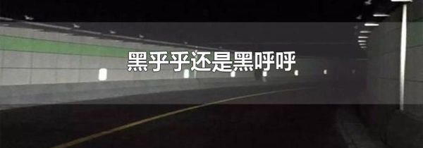 黑乎乎还是黑呼呼