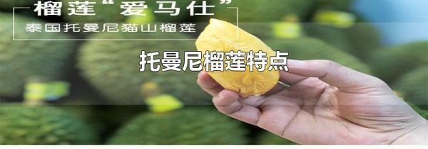 托曼尼榴莲特点