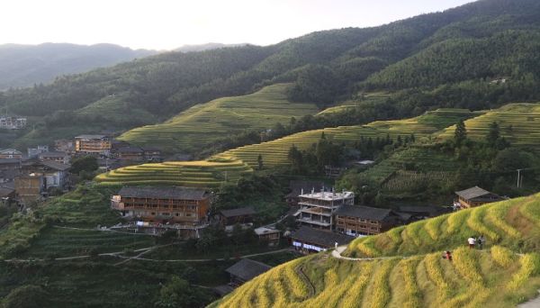 三月三是什么节日吃鸡蛋 三月三是什么节日