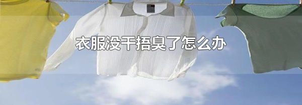 衣服没干捂臭了怎么办