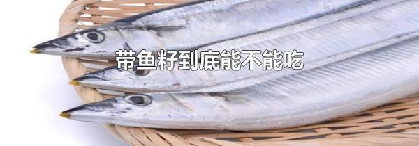 带鱼籽到底能不能吃