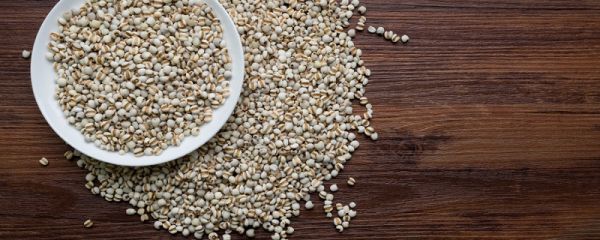 湿气重的人怎么排湿吃什么最好 湿气太重怎么排出来