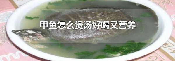 甲鱼怎么煲汤好喝又营养