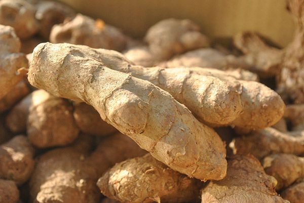 生姜茶的功效与作用 生姜茶的功效与作用有哪些