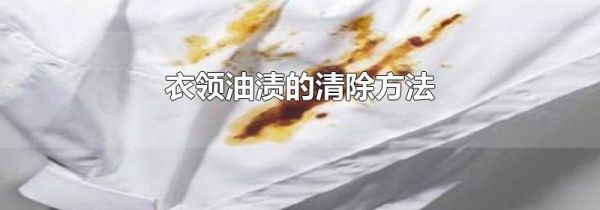 衣领油渍的清除方法