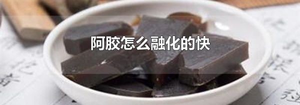 阿胶怎么融化的快