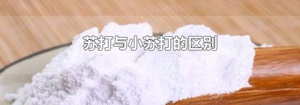 苏打与小苏打的区别