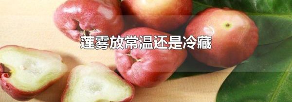 莲雾放常温还是冷藏