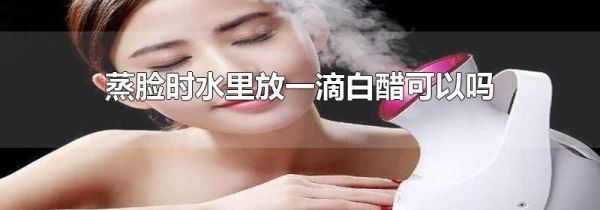 蒸脸时水里放一滴白醋可以吗