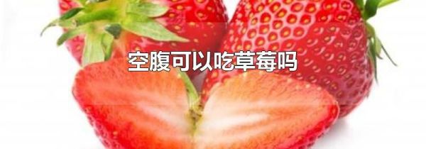 空腹可以吃草莓吗