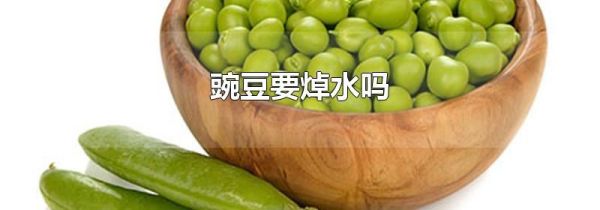 豌豆要焯水吗