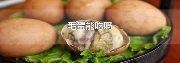 毛蛋能吃吗
