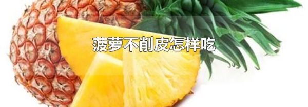 菠萝不削皮怎样吃