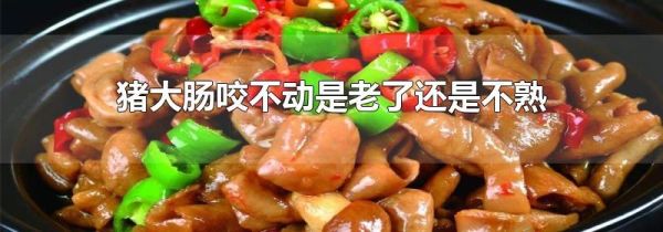 猪大肠咬不动是老了还是不熟
