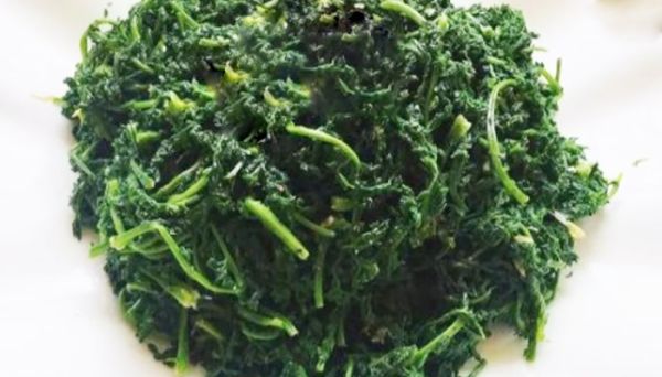 米米蒿的功效与作用  米米蒿有哪些功效作用