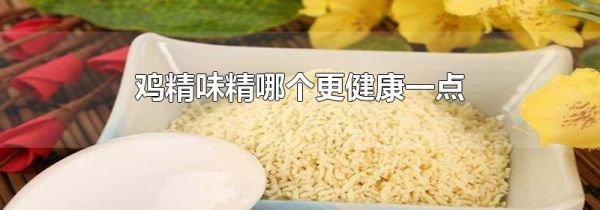 鸡精味精哪个更健康一点