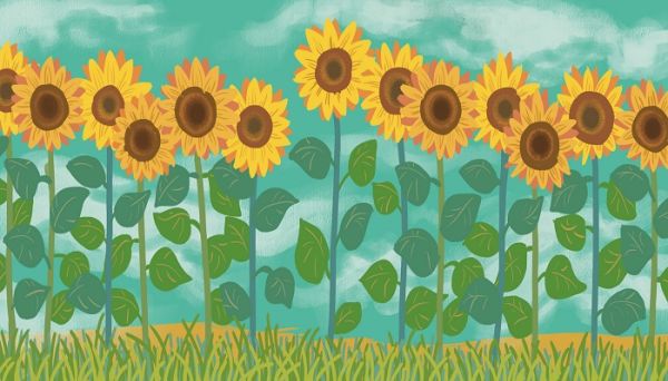 十二天使的名字大全 十二天使的名字大全是