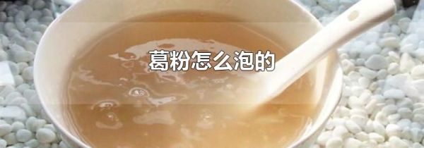 葛粉怎么泡的