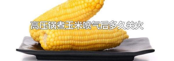 高压锅煮玉米喷气后多久关火
