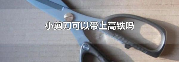 小剪刀可以带上高铁吗