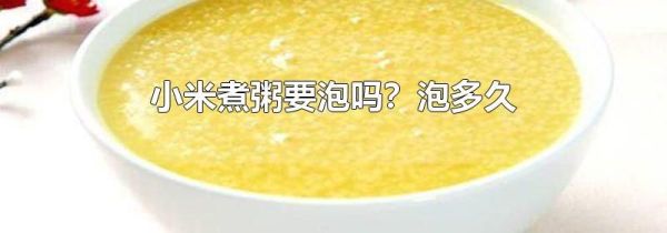 小米煮粥要泡吗？泡多久