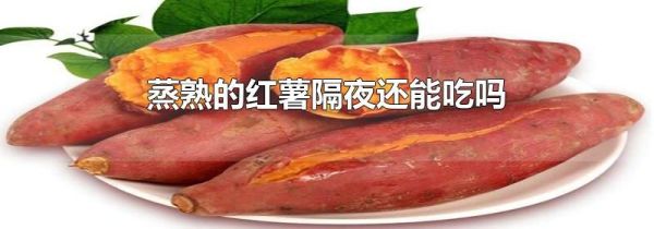 蒸熟的红薯隔夜还能吃吗